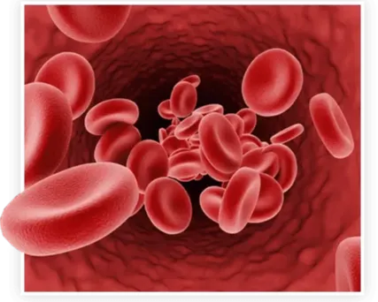 ProstaVive Natural Prostate Health Supplement